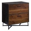 Pemberly Row Contemporary Engineered Wood/Metal Lateral File in Brew Oak