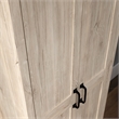 Pemberly Row Engineered Wood 2-Door Storage Cabinet in Chalk Oak