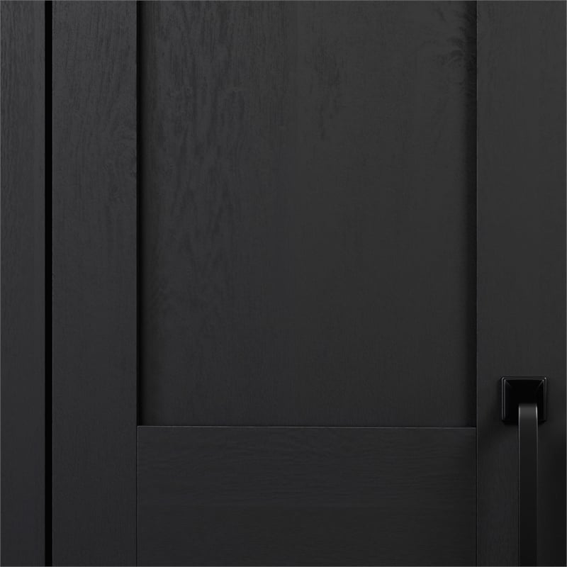 Pemberly Row Engineered Wood 2-Door Storage Cabinet in Raven Oak