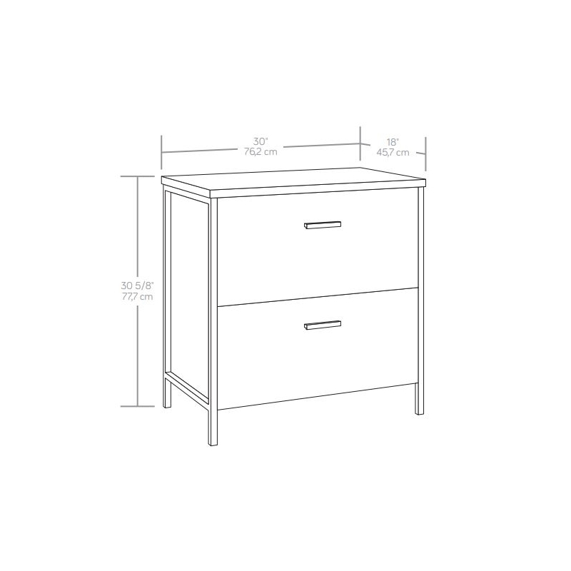 Pemberly Row Engineered Wood and Metal Lateral File in Rich Walnut