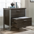 Pemberly Row Engineered Wood and Metal Lateral File in Blade Walnut
