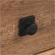 Pemberly Row Contemporary Engineered Wood and Metal Desk in Etched Oak