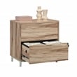 Pemberly Row Circle Engineered Wood Lateral File in Kiln Acacia / Brown Finish