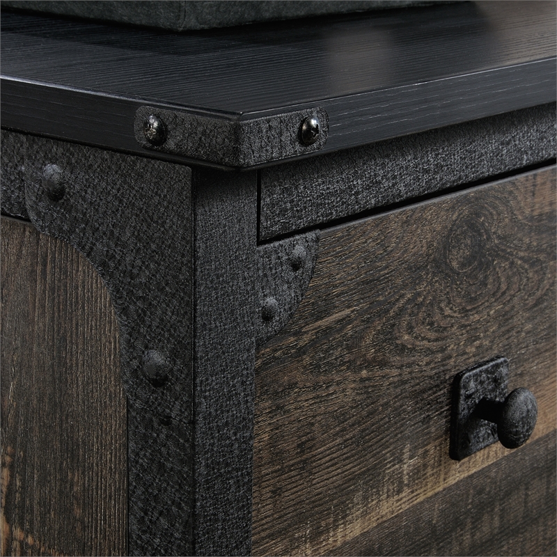 Pemberly Row Engineered Wood/Metal Lateral File in Carbon Oak