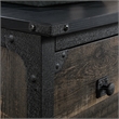 Pemberly Row Engineered Wood/Metal Lateral File in Carbon Oak