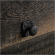Pemberly Row Engineered Wood/Metal Lateral File in Carbon Oak