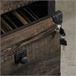 Pemberly Row Engineered Wood/Metal Lateral File in Carbon Oak