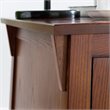Pemberly Row Contemporary Cabinet Wood End Table in Brown / Russet