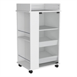 Pemberly Row Engineered Wood Bar Cart with 2-Side Shelves in White