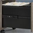 Pemberly Row 2 Drawer Mobile File Cabinet in Modern Hickory - Engineered Wood