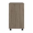 Pemberly Row 2 Drawer Mobile File Cabinet in Modern Hickory - Engineered Wood