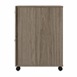 Pemberly Row 2 Drawer Mobile File Cabinet in Modern Hickory - Engineered Wood