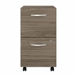 Pemberly Row 2 Drawer Mobile File Cabinet in Modern Hickory - Engineered Wood