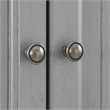 Pemberly Row 2-Cabinet and 2-Door Wood Pantry in Distressed Gray/Gold