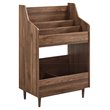 Pemberly Row 2-Shelf Mid-Century Wood Storage Stand in Walnut