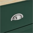 Pemberly Row Traditional Wood Drop Leaf Kitchen Island in Emerald/Natural