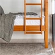 Pemberly Row Transitional Twin-over-Twin Solid Wood Bunk Bed Frame in Amber