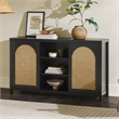 Pemberly Row Modern Arched Rattan 2-Door Wood Sideboard 58