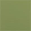 Pemberly Row Twin Over Twin Simple Solid Wood Bunk Bed - Olive Green