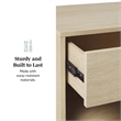 Pemberly Row 1-Drawer Mid-Century Wood Nightstand in Coastal Oak