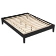 Pemberly Row Contemporary Wood Platform Queen Bed in Black Finish