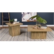 Pemberly Row Square Farmhouse Engineered Wood End Table in Brown