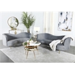 Pemberly Row 2-Piece Contemporary Velvet Camel Back Sofa Set in Gray