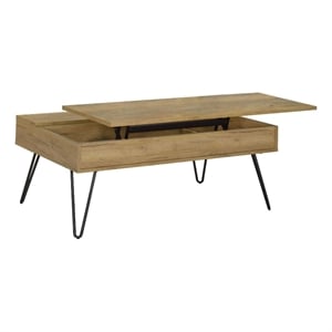 Pemberly Row Wood Lift Top Storage Coffee Table Golden Oak and Black
