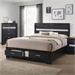 Pemberly Row Contemporary Queen 2-drawer Modern Wood Storage Bed Black