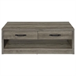 Pemberly Row 2-Drawer Rectangular Engineered Wood Coffee Table in Gray