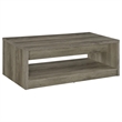 Pemberly Row 2-Drawer Rectangular Engineered Wood Coffee Table in Gray