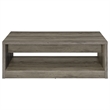 Pemberly Row 2-Drawer Rectangular Engineered Wood Coffee Table in Gray