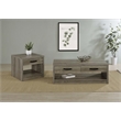 Pemberly Row 2-Drawer Rectangular Engineered Wood Coffee Table in Gray