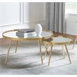 Pemberly Row Metal 2-piece Mirror Top Nesting Coffee Table Mirror and Gold