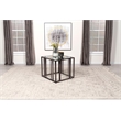 Pemberly Row Metal Rectangular Glass Top End Table in Clear and Black Nickel