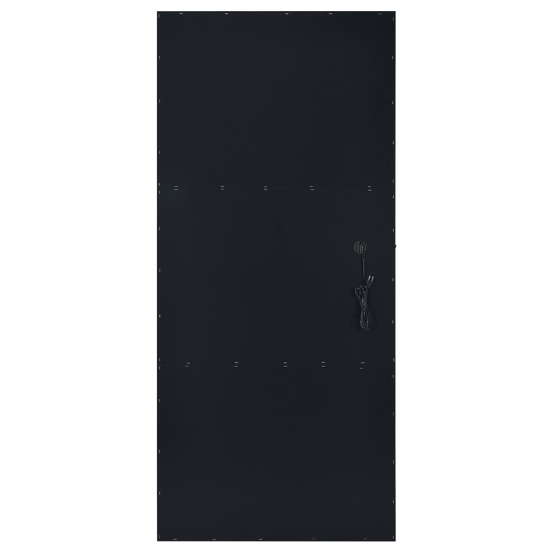 Pemberly Row Glass Full Length Floor Mirror with Lighting in Black and Mirror