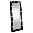 Pemberly Row Glass Full Length Floor Mirror with Lighting in Black and Mirror