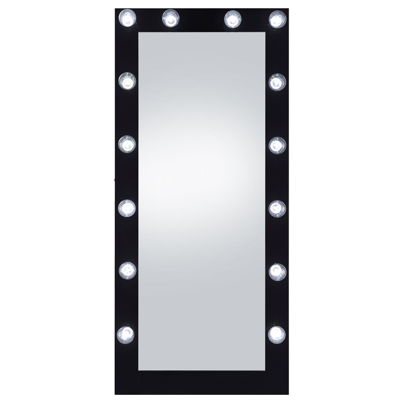 Pemberly Row Glass Full Length Floor Mirror with Lighting in Black and Mirror