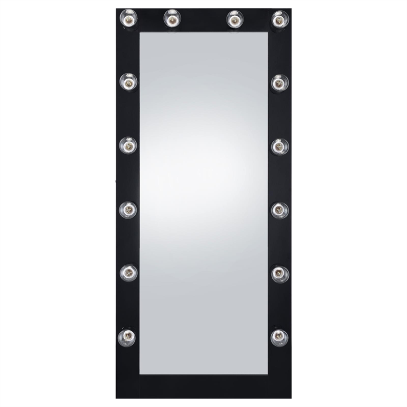 Pemberly Row Glass Full Length Floor Mirror with Lighting in Black and Mirror