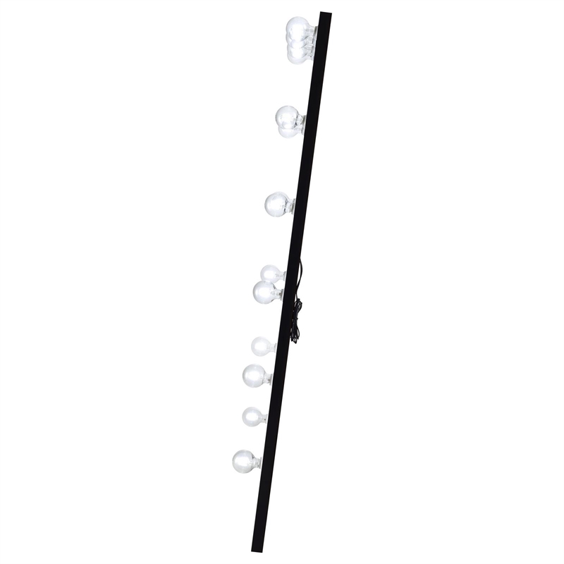 Pemberly Row Glass Full Length Floor Mirror with Lighting in Black and Mirror