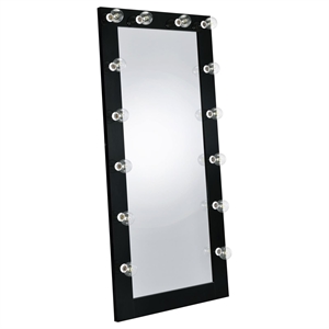 Pemberly Row Glass Full Length Floor Mirror with Lighting in Black and Mirror