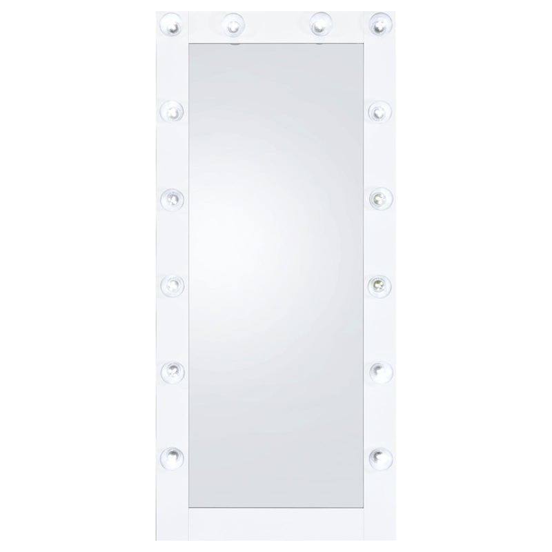 Pemberly Row Glass Full Length Floor Mirror with Lighting in White and Mirror