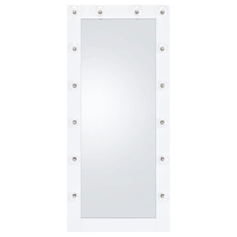 Pemberly Row Glass Full Length Floor Mirror with Lighting in White and Mirror
