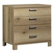 Pemberly Row Engineered Wood Lateral File Cabinet in Timber Oak