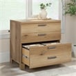 Pemberly Row Engineered Wood Lateral File Cabinet in Timber Oak