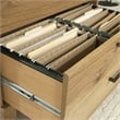 Pemberly Row Engineered Wood Lateral File Cabinet in Timber Oak