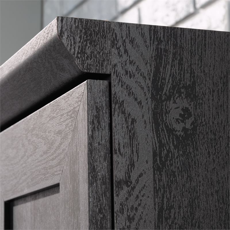 Pemberly Row Engineered Wood Storage Cabinet in Raven Oak Finish