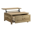 Pemberly Row Lift-Top Engineered Wood Coffee Table in Timber Oak