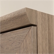 Pemberly Row Engineered Wood Single Door Pantry in Salt Oak Finish