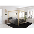 Pemberly Row Modern / Contemporary Canopy Bed - Full in Gold